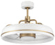 Craftmade 20" Taylor, White/Satin Brass With Clear Acrylic Blades