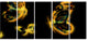 Yellow Fractal Butterflies on Black, Floral Canvas Art Print, 60"x28", 5 Panels