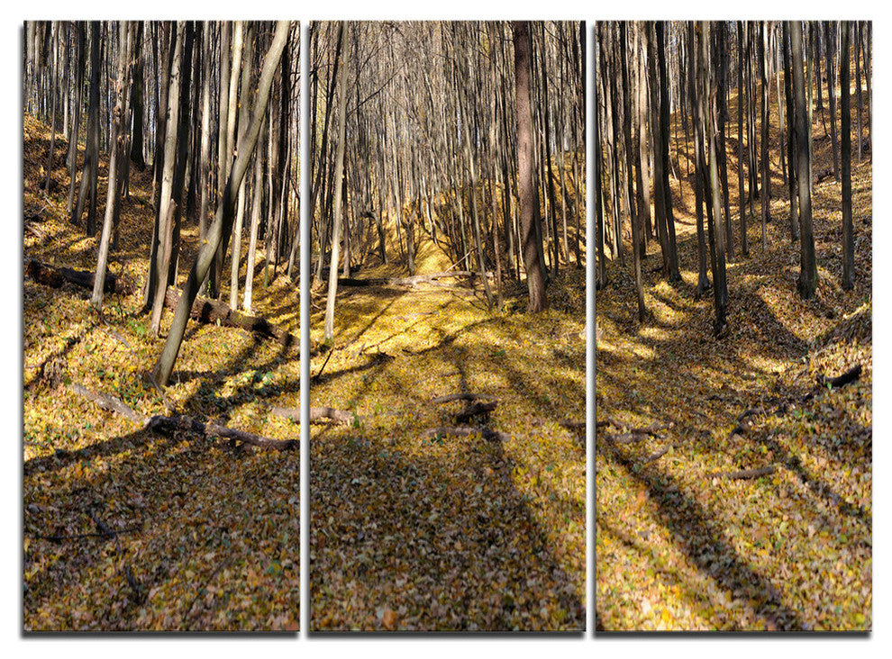 "Majestic Autumn Forest Panorama" Metal Wall Art, 3 Panels, 36"x28"