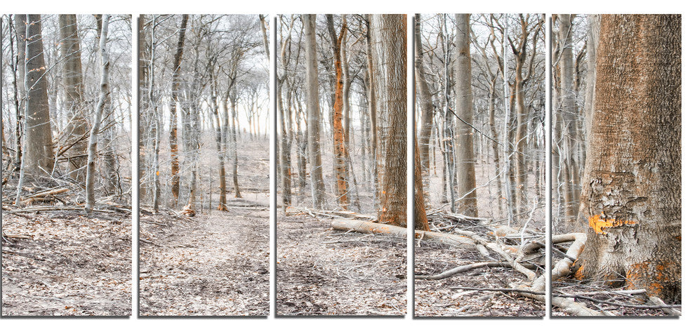 Dense Forest in the Winter Photography, Forest Canvas Art, 60"x28", 5 Panels