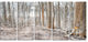 Dense Forest in the Winter Photography, Forest Canvas Art, 60"x28", 5 Panels