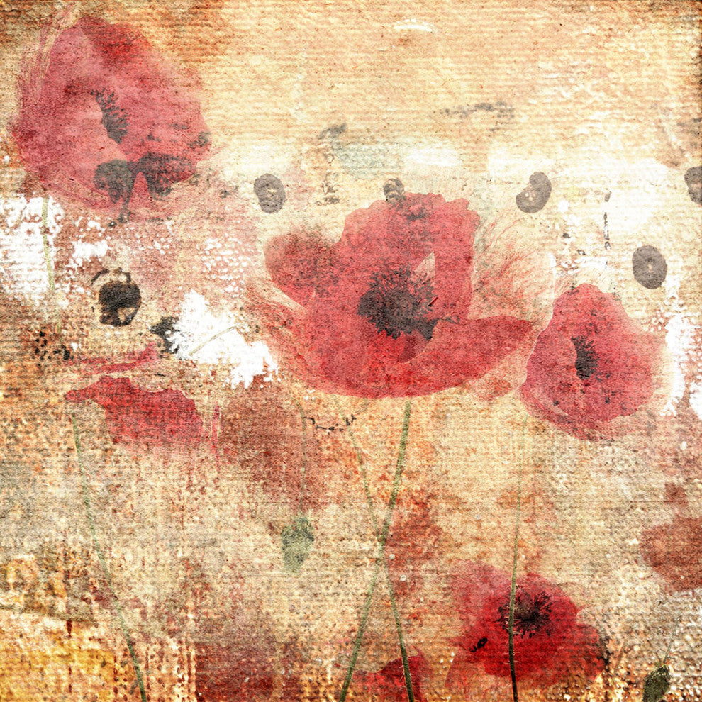 "Sunset Poppy Field I" Painting Print on Canvas by Irena Orlov