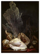"Coquillages et Madreposes" Digital Paper Print by Antoine Berjon, 18"x24"