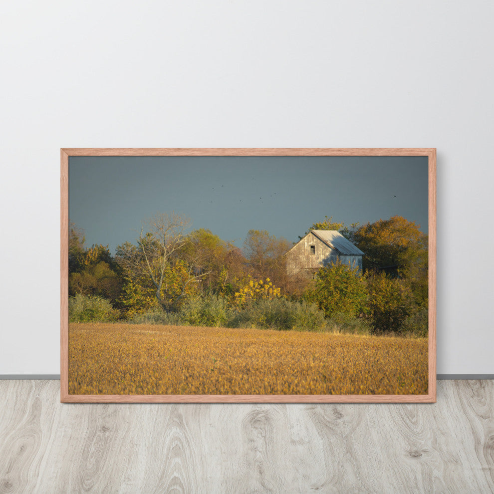 Abandoned Barn In The Trees Framed Photo Paper Wall Art Prints, Red Oak, 24" X 36"