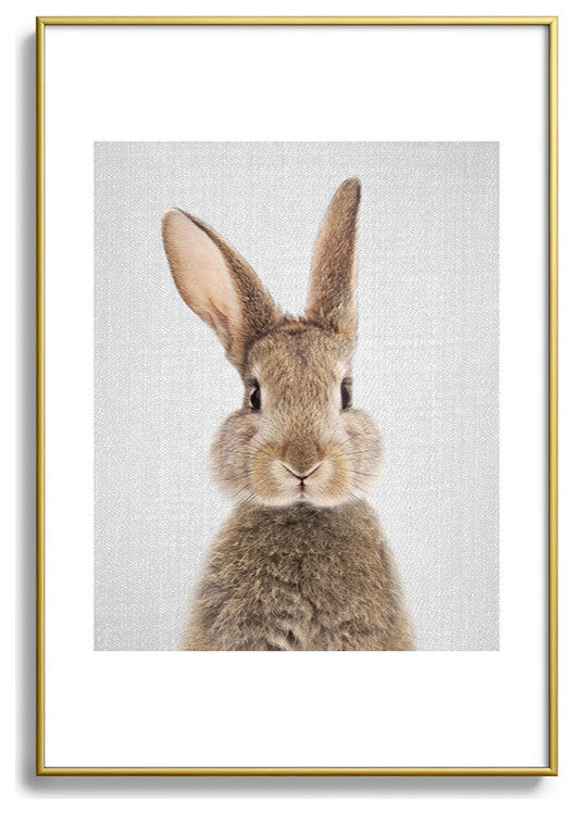 Gal Design Rabbit Colorful Metal Framed Art Print