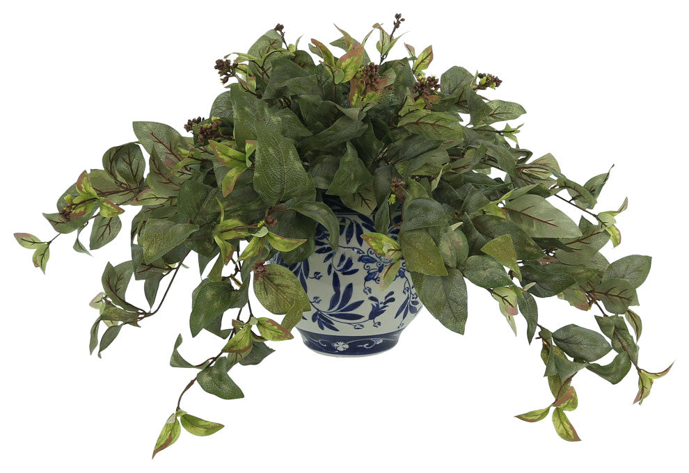 Magnolia Leaf Plant in a Ceramic Vase