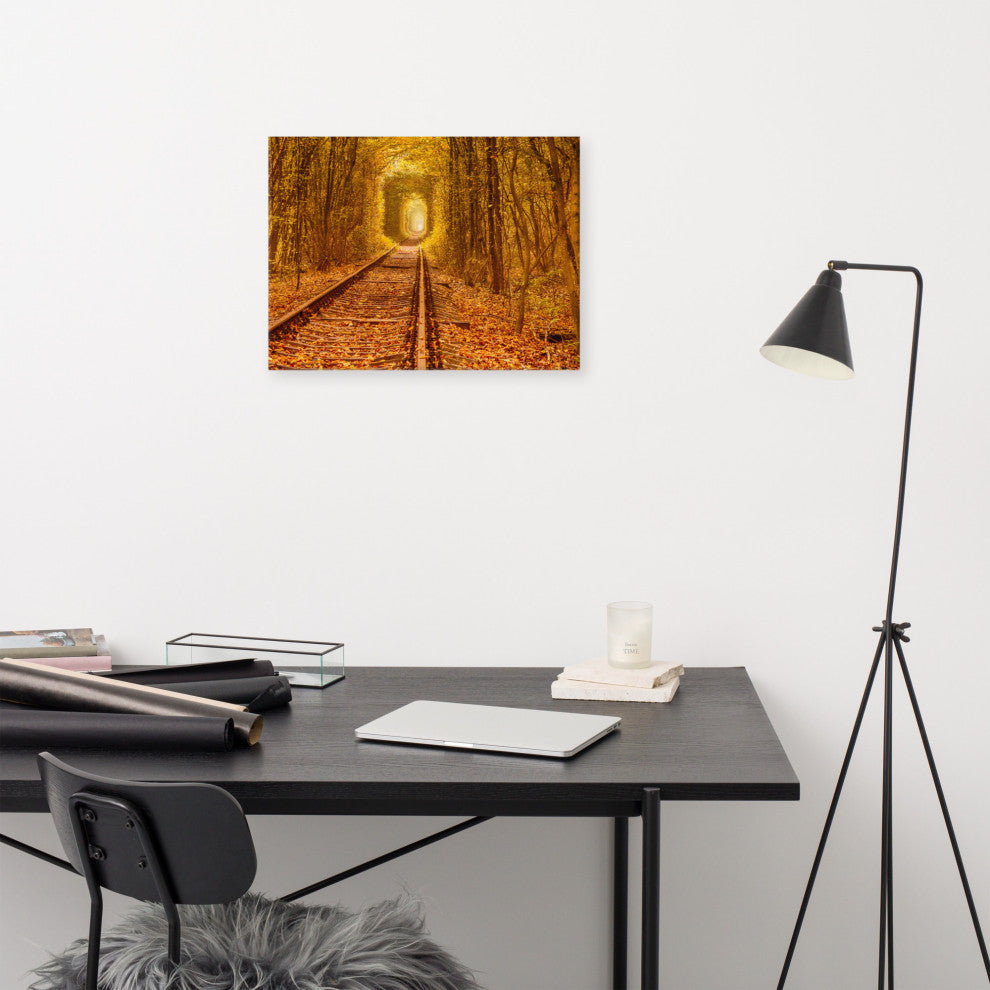 Ukraine Forest Railway Tunnel of Love Landscape Photo Canvas Wall Art Print, 18" X 24"