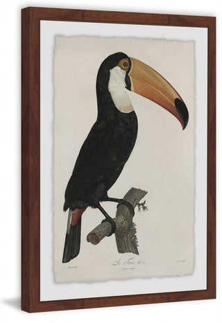"Quiet Toucan" Framed Painting Print, 16"x24"