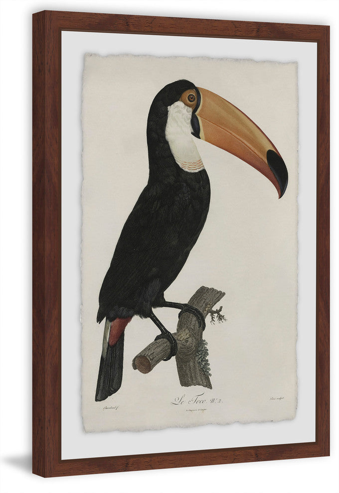"Quiet Toucan" Framed Painting Print, 16"x24"