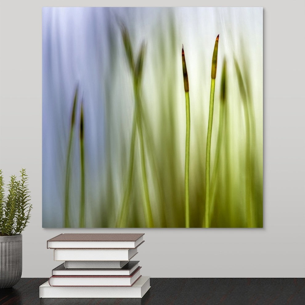 "Moss" Wrapped Canvas Art Print, 16"x16"x1.5"