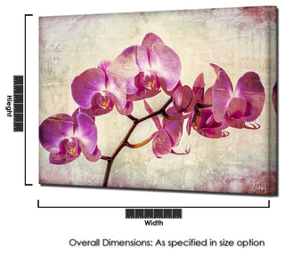 Ready2hangart 'Painted Petals XVIII' Canvas Wall Art