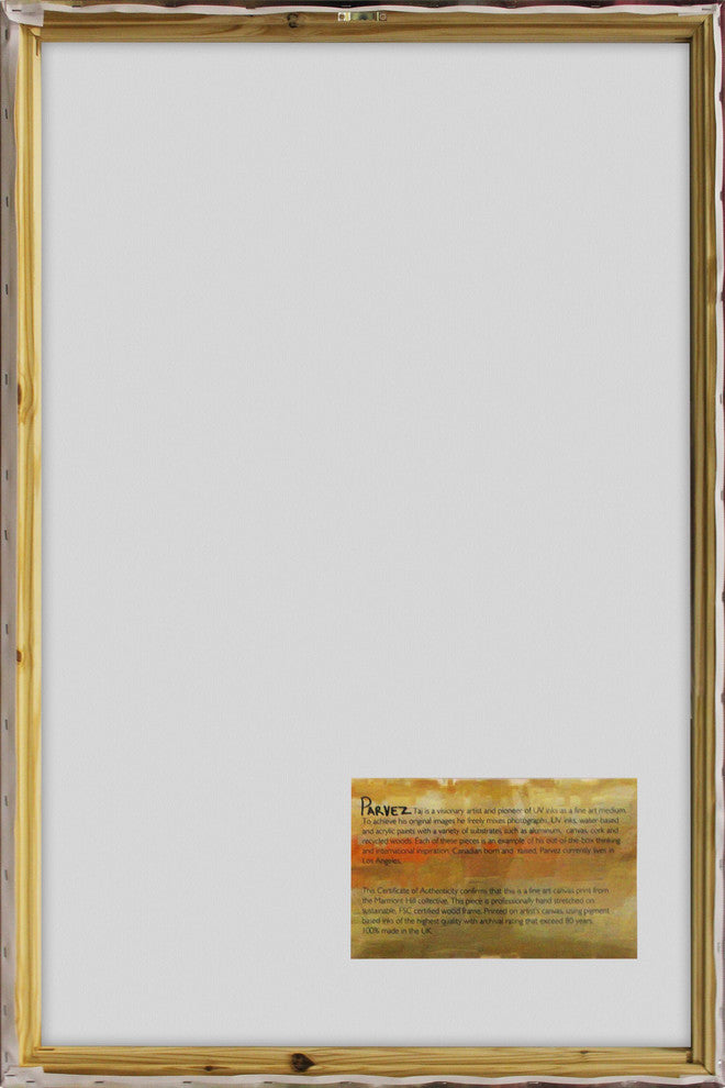 "Gus" Canvas Print by Tori Campisi, 30x45 cm