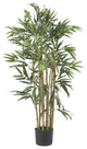 3' Multi Bambusa Bamboo Silk Tree