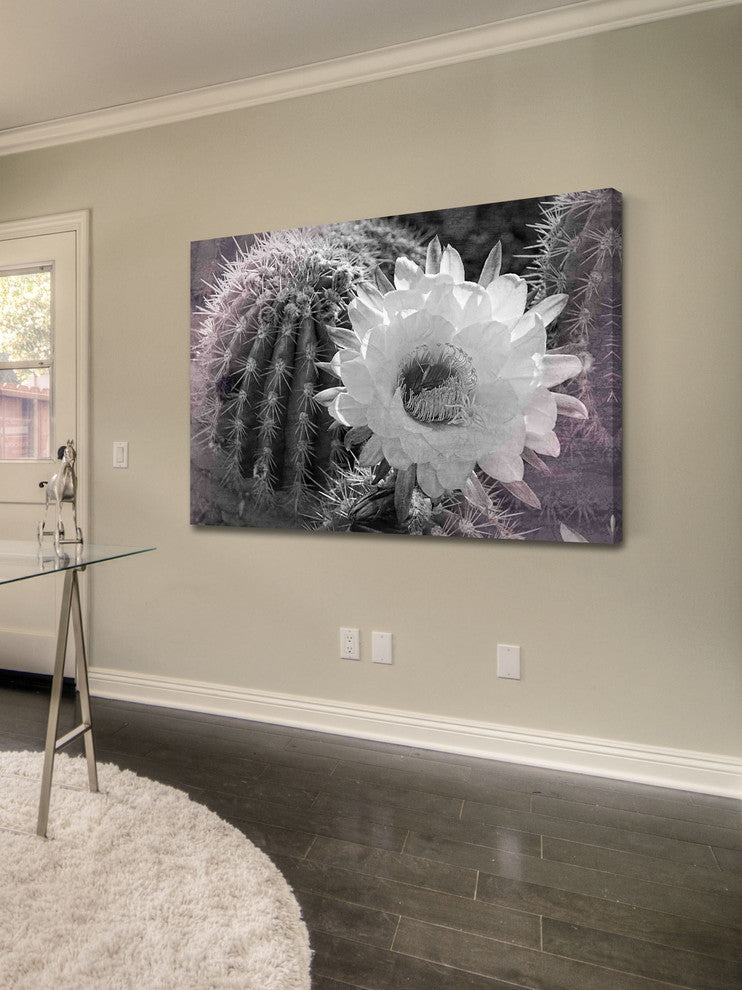 "Desert Queen" Painting Print on Canvas by Robertson