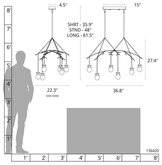 Kiwi Pendant - Black - Clear Glass - Short