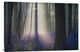 "Velvet Light" Stretched Canvas Giclee by Adrian Popan, 36x24"