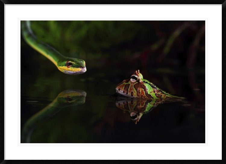 "Courage" Framed Digital Print by Shikhei Goh, 44x32"