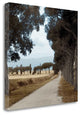 "Tuscan Fatorria Strada No. 2" By Alan Blaustein, Giclee on Gallery Wrap Canvas