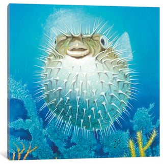 "Puffer Fish" by Durwood Coffey, Canvas Print, 26"x26"