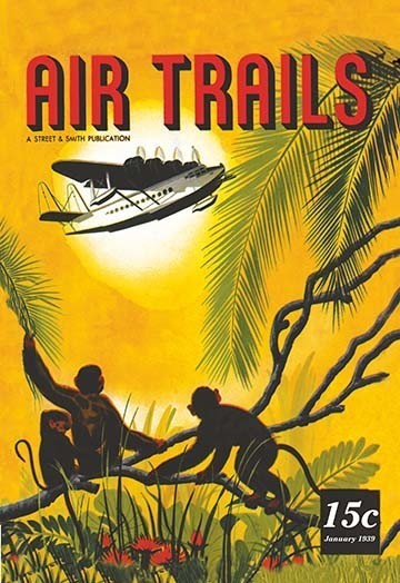 Seaplane Over the Tropics - Canvas Poster 20" x 30"
