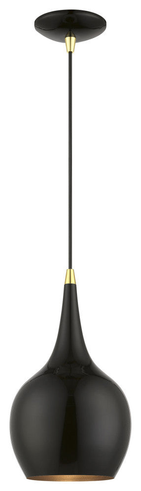 Andes 1 Light Shiny Black With Polished Brass Accents Mini Pendant