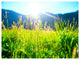 Beautiful Green Nature Wonder, Landscape Canvas Art Print, 40"x30"