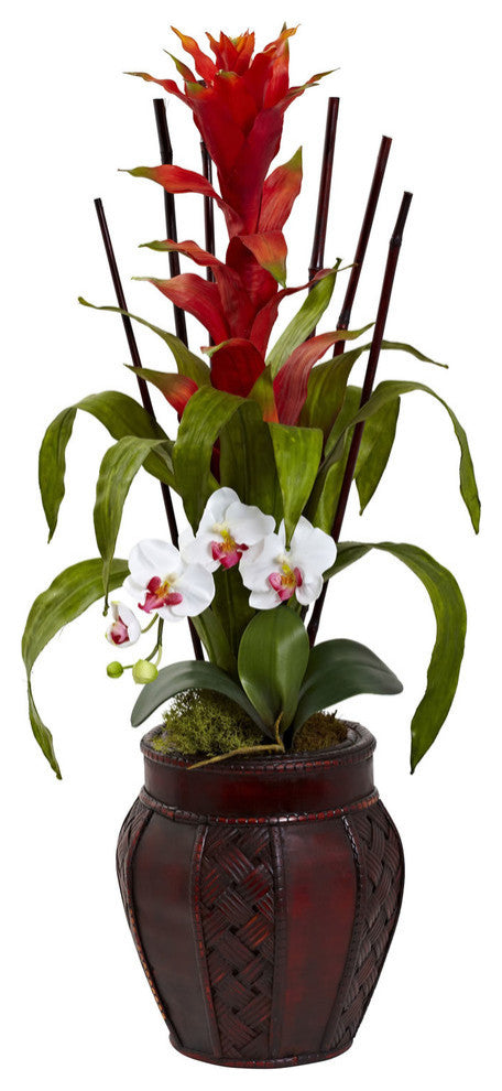 Bromedliad & Orchid Combo, Planter, White