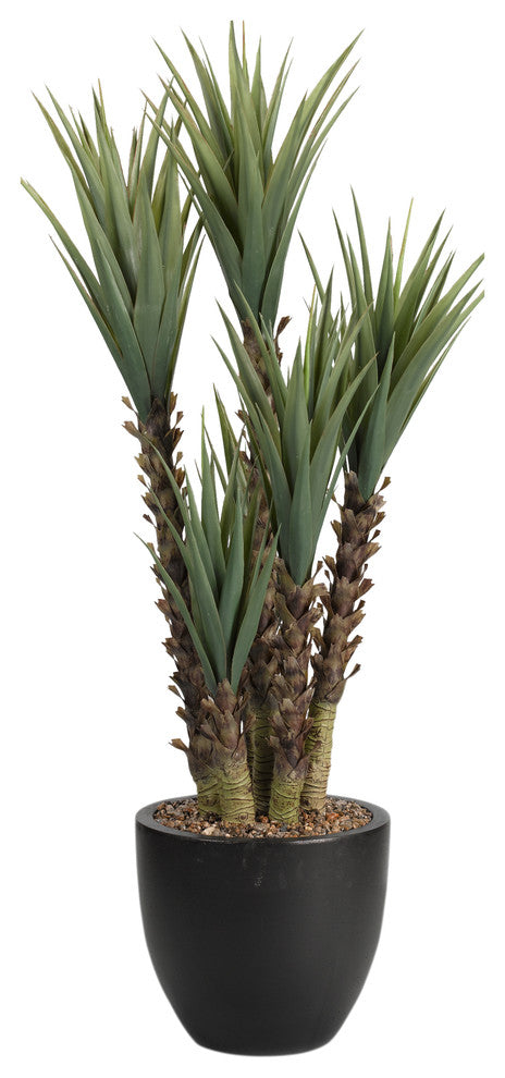 5.5' Yucca Plant in Round Planter