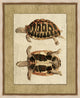 Neutral Turtle 3, Giclee Reproduction Artwork