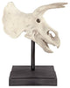 Triceratops Dinosaur Skull on Mount