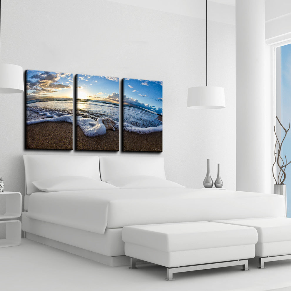 Ready2HangArt Christopher Doherty 'Sea Star II' 3-piece Canvas Wall Art