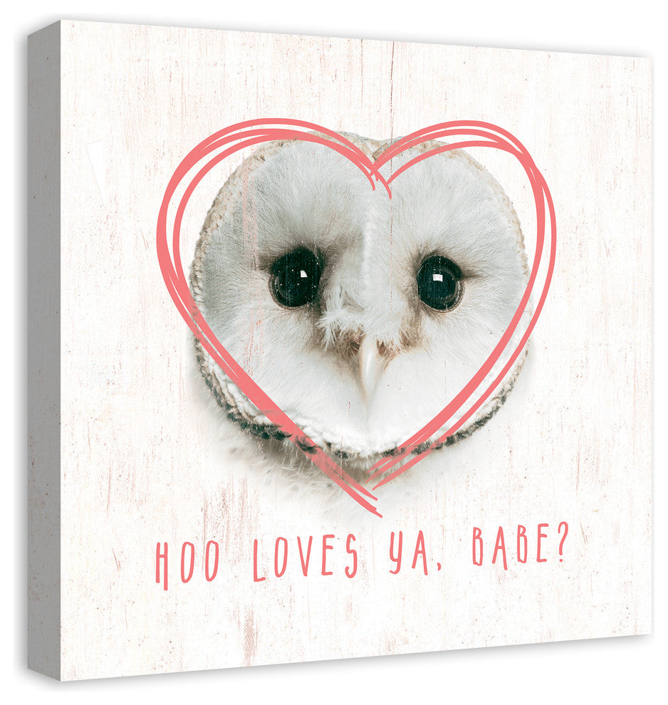 Owl Love 20x20 Canvas Wall Art
