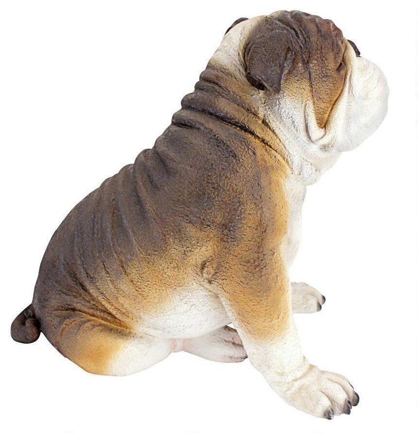 Buster The Bulldog