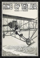 "King of the Air" Framed Canvas Giclee, 26"x38"