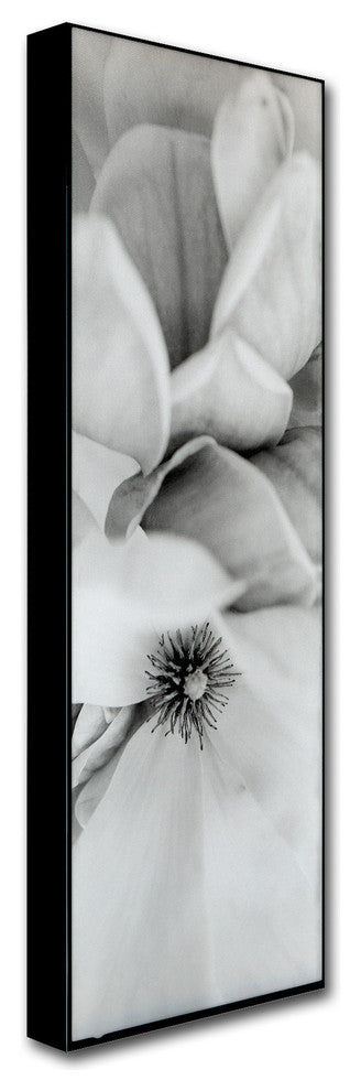 Alan Blaustein 'Magnolia II' Canvas Art, 6x19