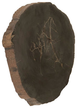 Cast Petrified Wood Wall Tile, Resin