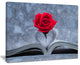 "Red Rose Inside the Book" Floral Art Canvas Print, 20"x12"