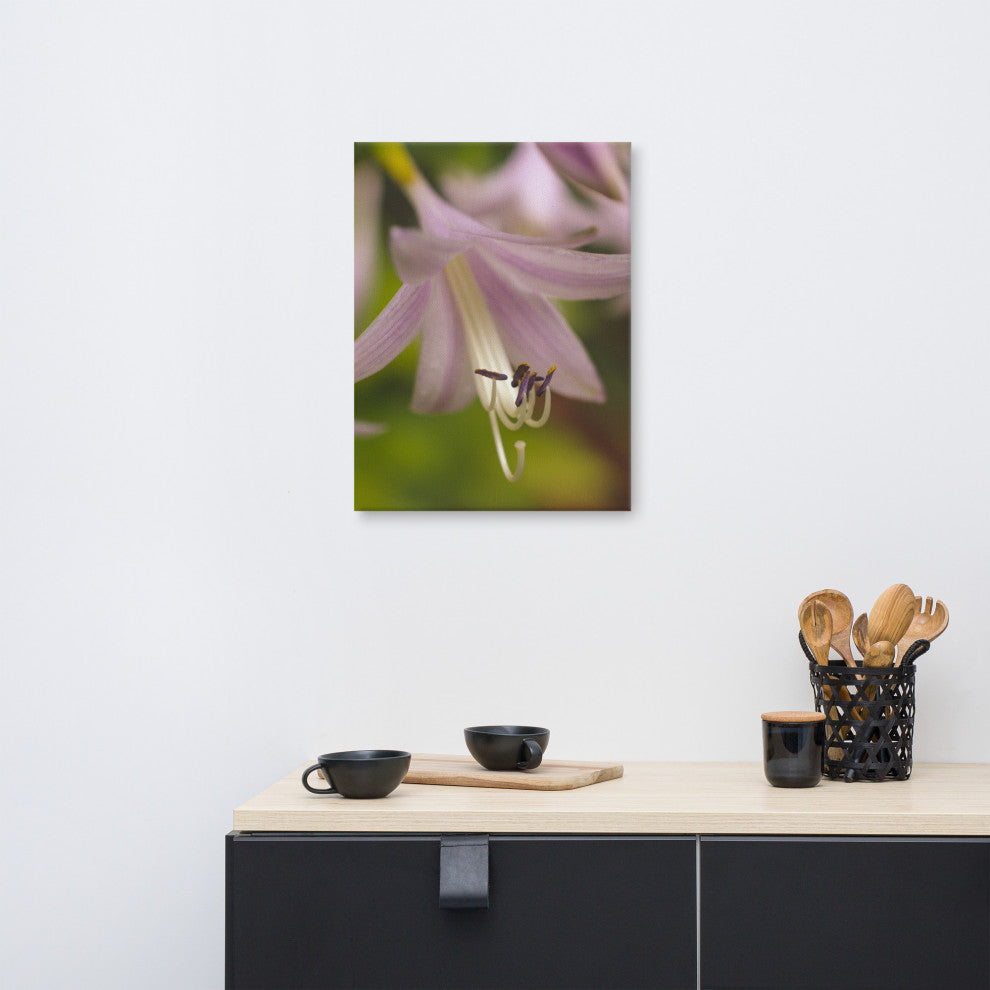 Close-up Hosta Bloom Floral Nature Photo Canvas Wall Art Print, 18" X 24"