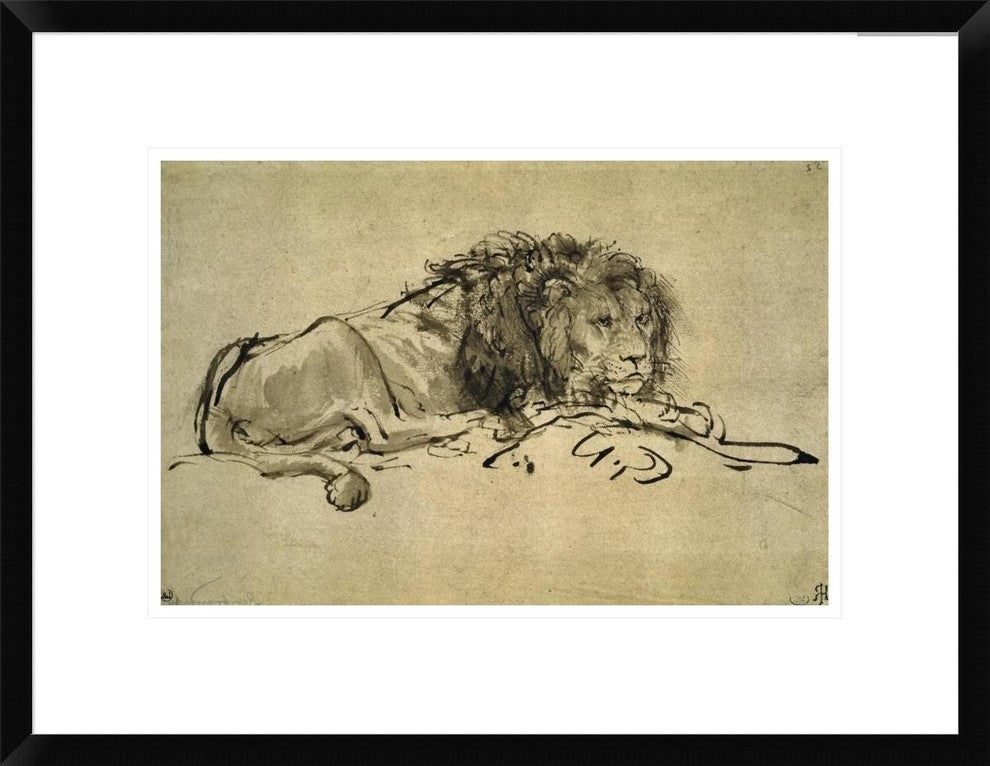 "Lion" Framed Digital Print by Rembrandt Van Rijn, 24"x18"