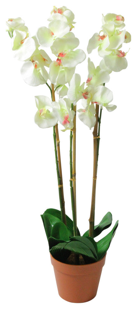 33.25" White Artificial Three Stemmed Potted Flowering Orchid Plant