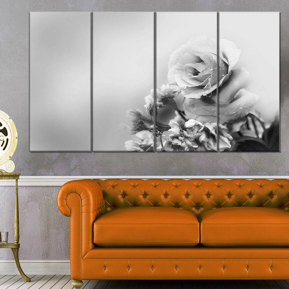 Black and White Rose in Spring., Floral Canvas Print, 48"x28", 4 Panels