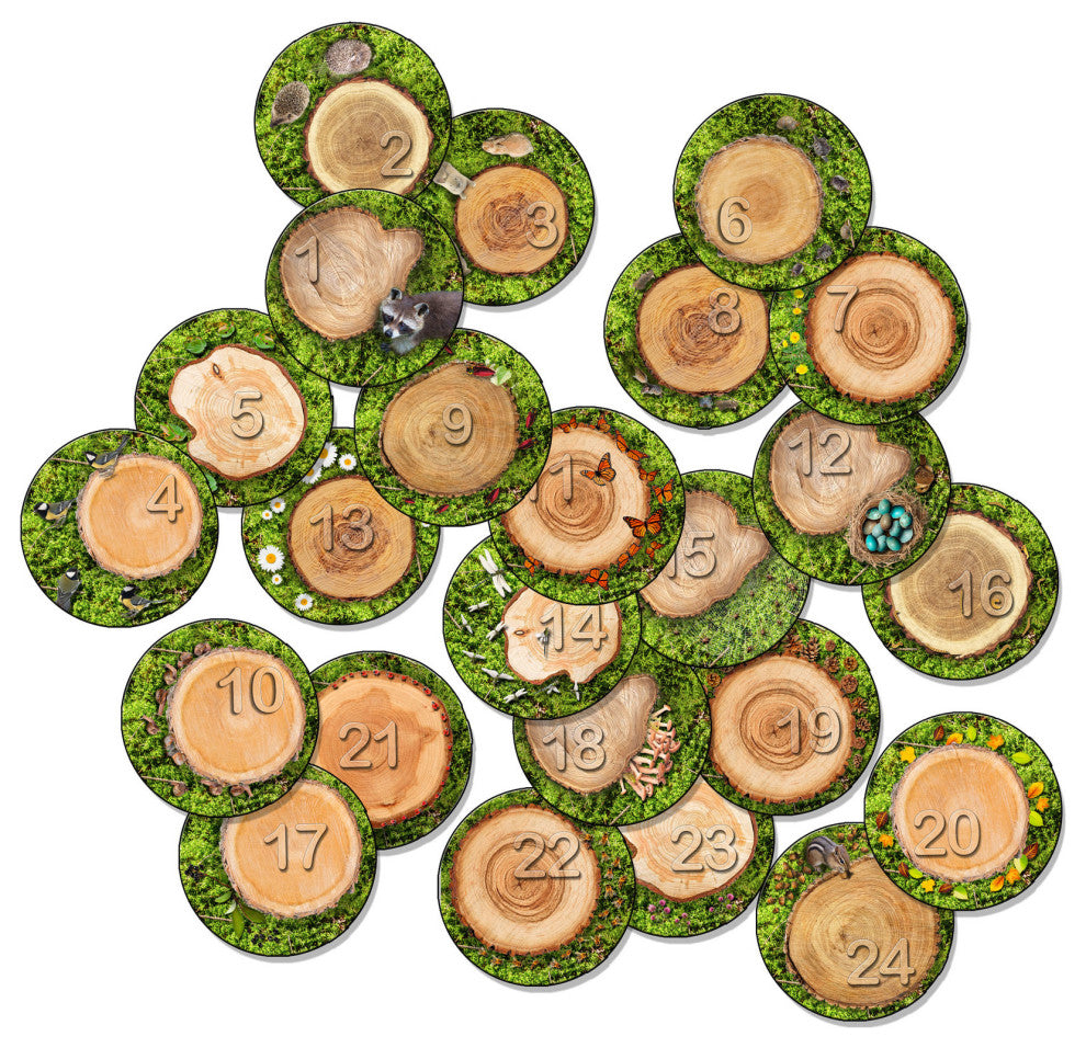 Flagship Carpets VA1003-S24FS 16" Set Of 24 Counting Seating Stumps Stow Rug