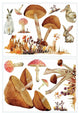 Mushroom Giant Peel And Stick Wall Decals