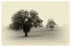 "Horses and Trees II" Digital Paper Print by Debra Van Swearingen, 38"x26"