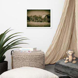 Abandoned Barn In The Trees Vintage Framed Photo Paper Wall Art Prints, White, 12" X 16"