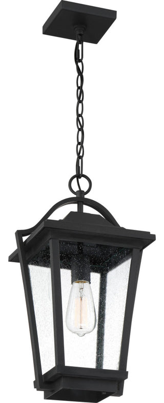 Quoizel DRS1911 Darius 1 Light 11"W Outdoor Pendant - Earth Black
