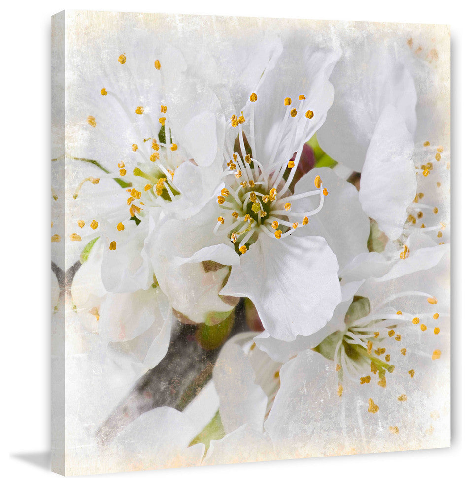 "White Bollosoms" Painting Print on Canvas by Aryai