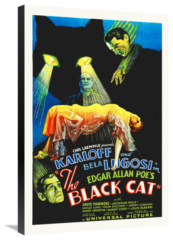 "The Black Cat" Stretched Canvas Giclee by Hollywood Photo Archive, 20x30"