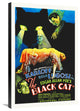 "The Black Cat" Stretched Canvas Giclee by Hollywood Photo Archive, 20x30"