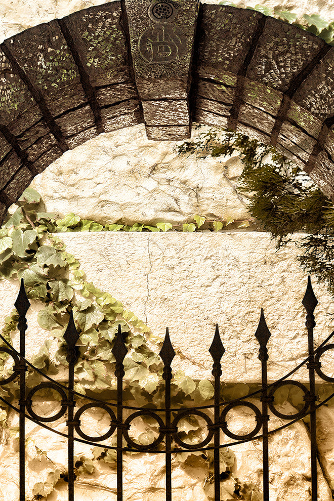 "From a Garden in Vienna" Paper, 20"x30"